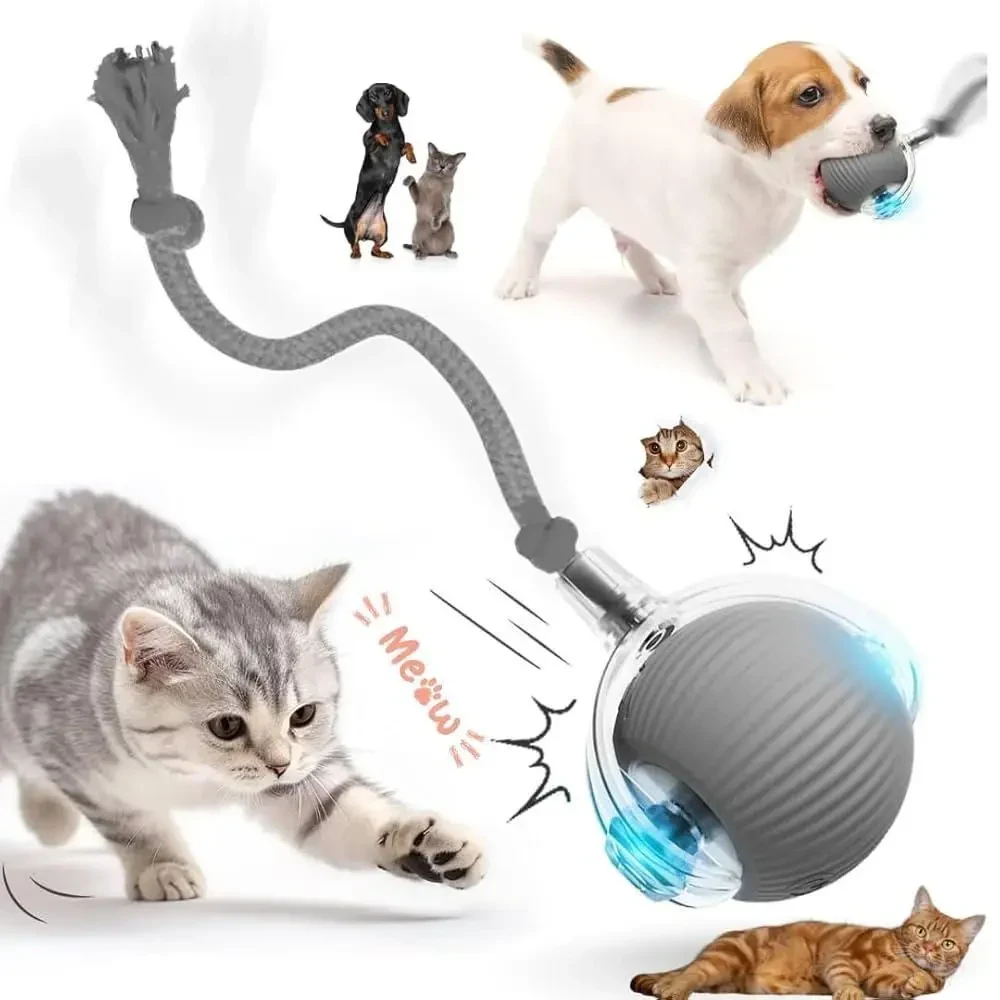 Інтерактивна іграшка куля для котів — Smart Pet Ball, 3 режими руху, заряджання від Type-C, вбудований акумулятор, Сірий