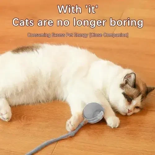 Інтерактивна іграшка куля для котів — Smart Pet Ball, 3 режими руху, заряджання від Type-C, вбудований акумулятор, Сірий